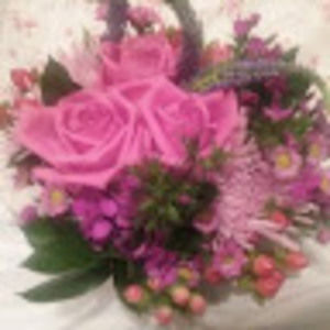 Meet your Posher, R.